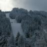 Snow-covered ski slope surrounded by dense, snow-covered trees.