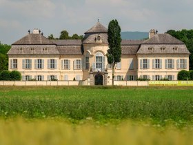 Schloss Niederweiden, &copy; Weinviertel Tourismus GmbH