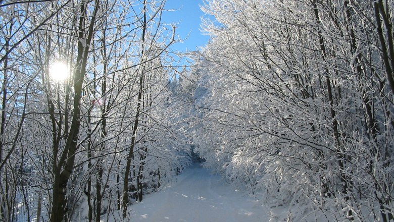 Snow-covered forest path in the Hohe Wand Nature Park with sunshine.