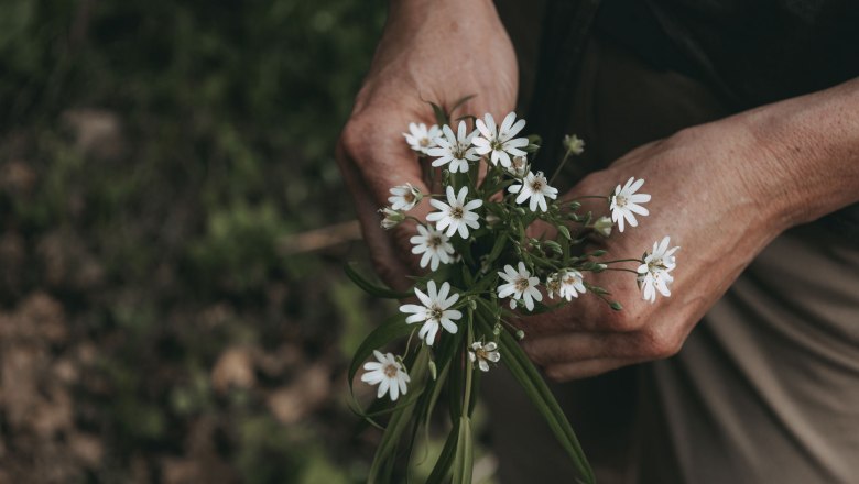 Close-up of hands holding a bouquet of white wildflowers.