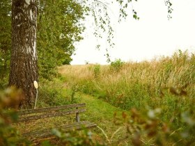 Rastm&ouml;glichkeit am Weitwanderweg Nibelungengau in Artstetten, &copy; Donau Nieder&ouml;sterreich / Klaus Engelmayer