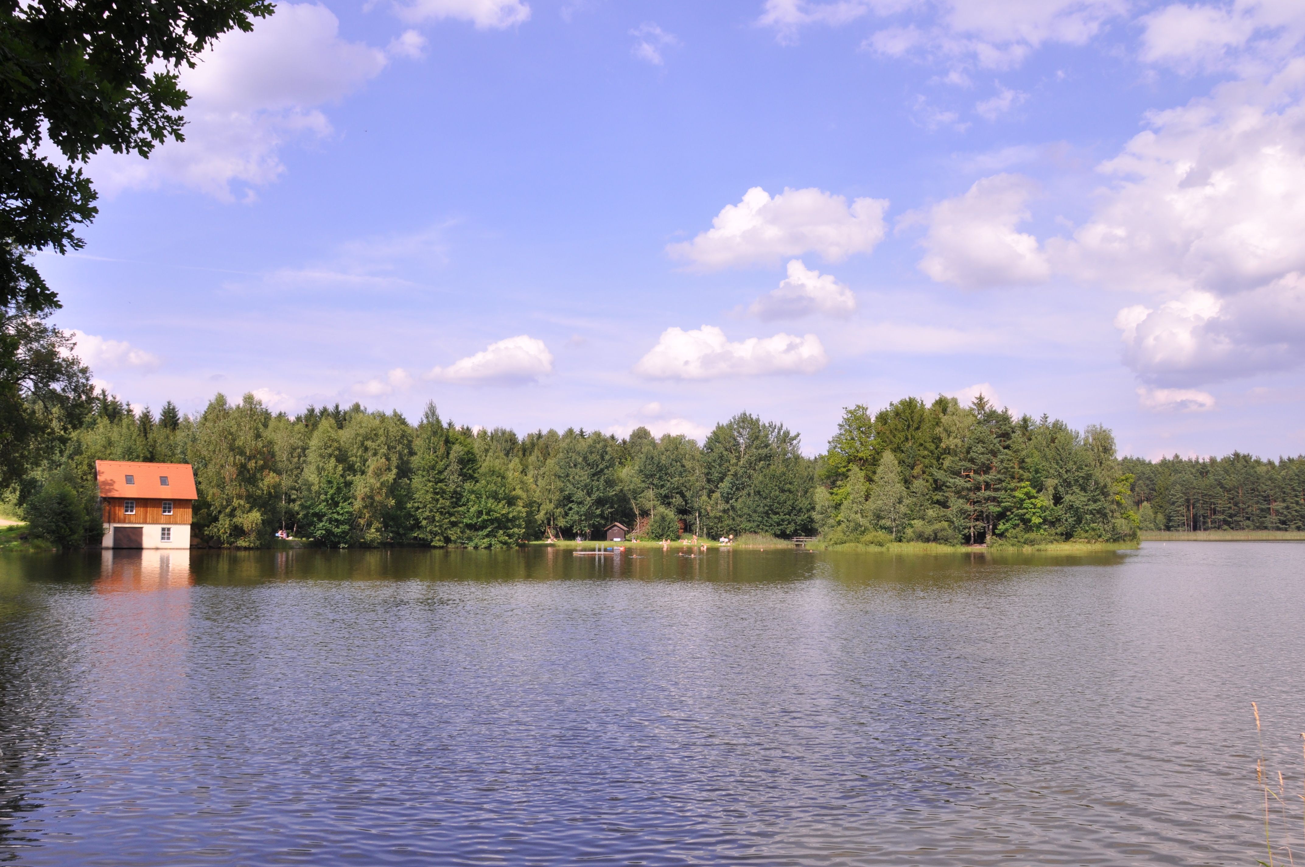 A lake with a house on the shore, surrounded by forest and a blue sky with clouds.