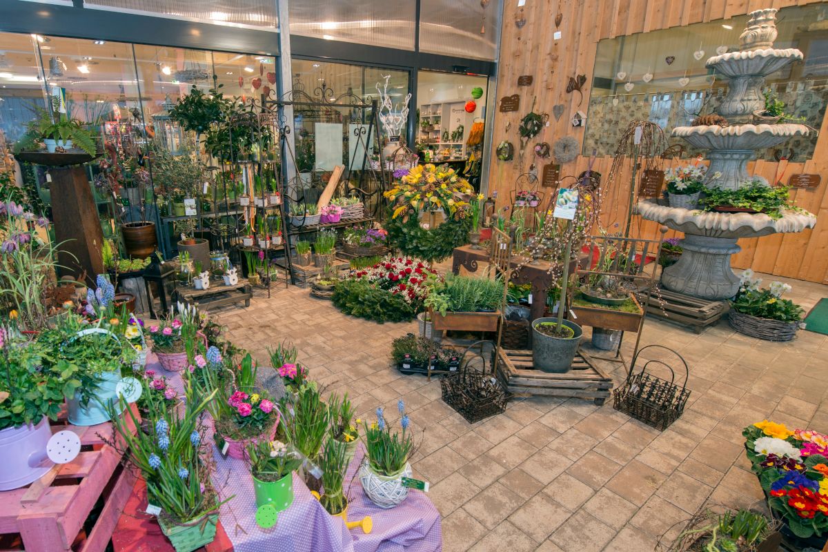 The SShop with lots of flowers, potted plants and flower arrangements.