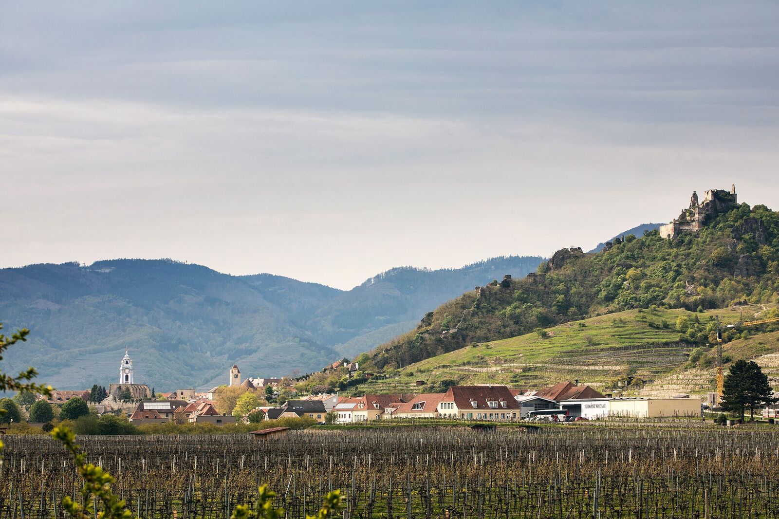 View of the Dürnstein ruins and the surrounding landscape with vineyards and village.