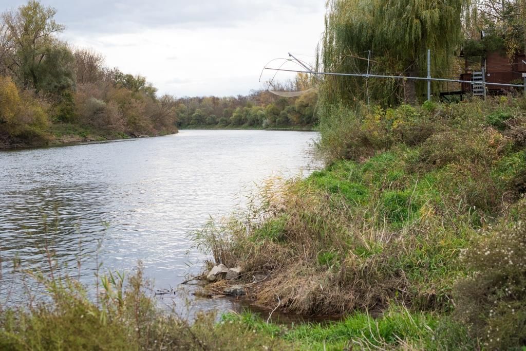 River landscape with trees and green banks.