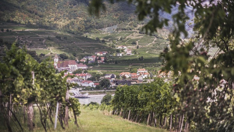 Walk in Rossatz, © Daniela Matejschek