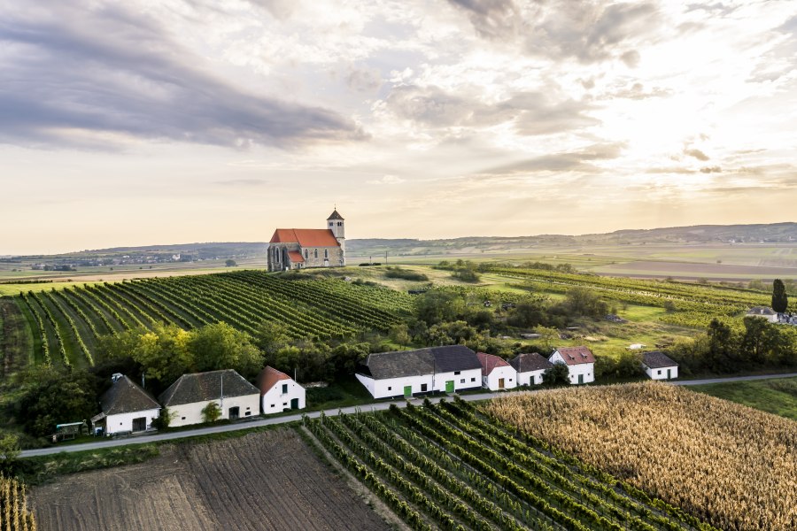 wine cellar lane Wartberg, © Weinviertel Tourismus/Robert Herbst