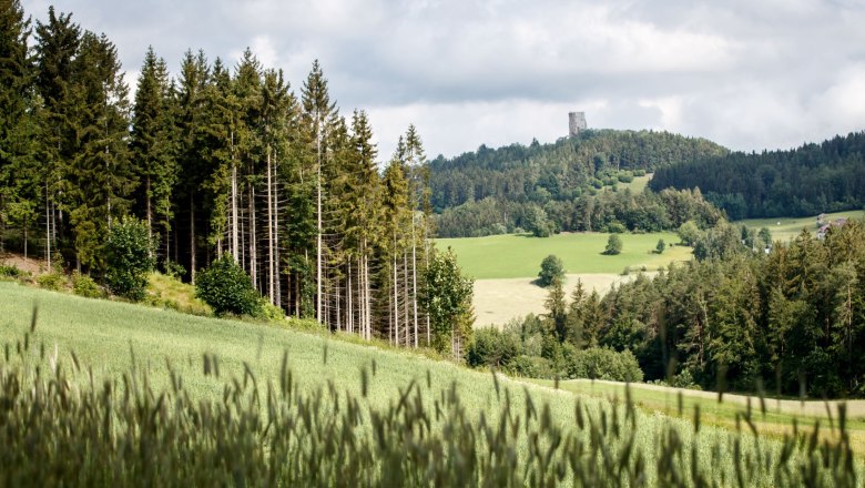 Arbesbach castle ruins, &copy; Waldviertel Tourismus, Erwin Haiden