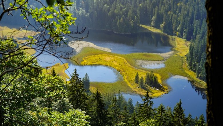 View of the Obersee, © Felix Helmel