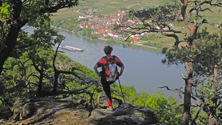 A person with a rucksack looks down from a wooded hill onto a river and a village.