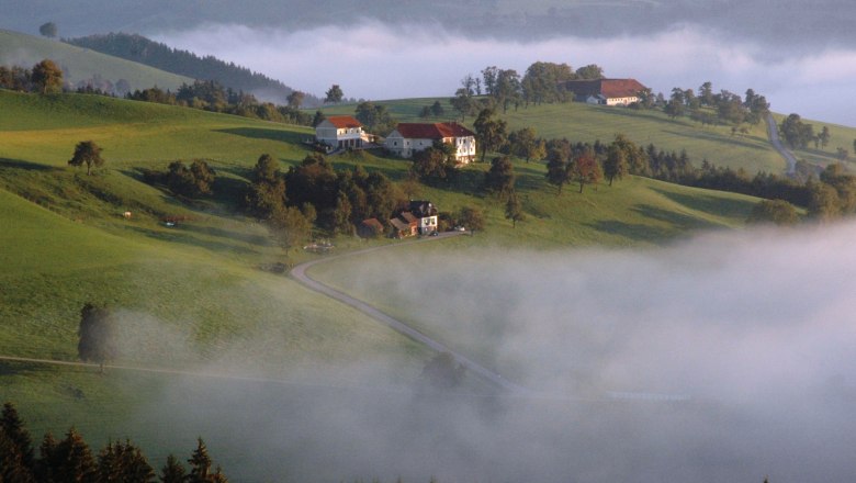 Autumn landscape with green hills, scattered houses and fog.