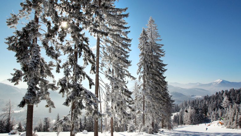 Magical winter scenery in Annaberg, © weinfranz.at