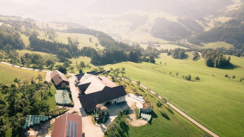 Farmhouse St&ouml;ckl, &copy; Gerald Demolsky