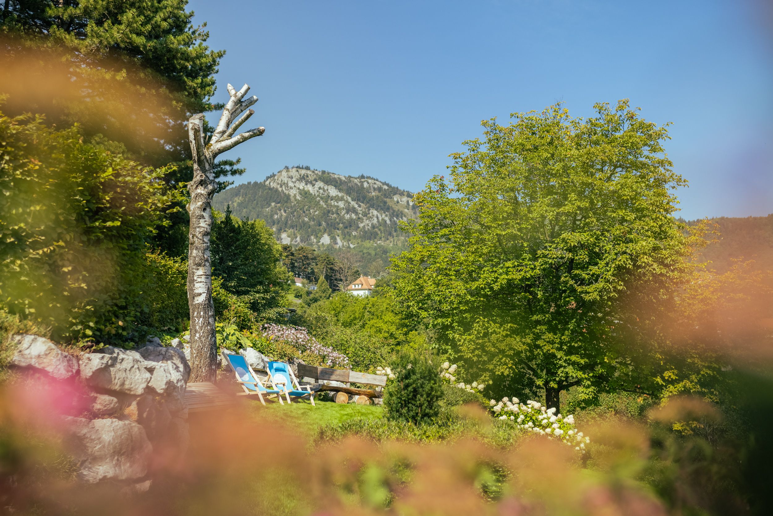 An alpine garden with deckchairs, trees and a mountain in the background.