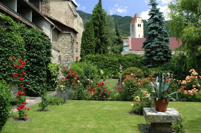 A well-tended monastery garden with blooming roses, a lawn and an old stone wall in the background.