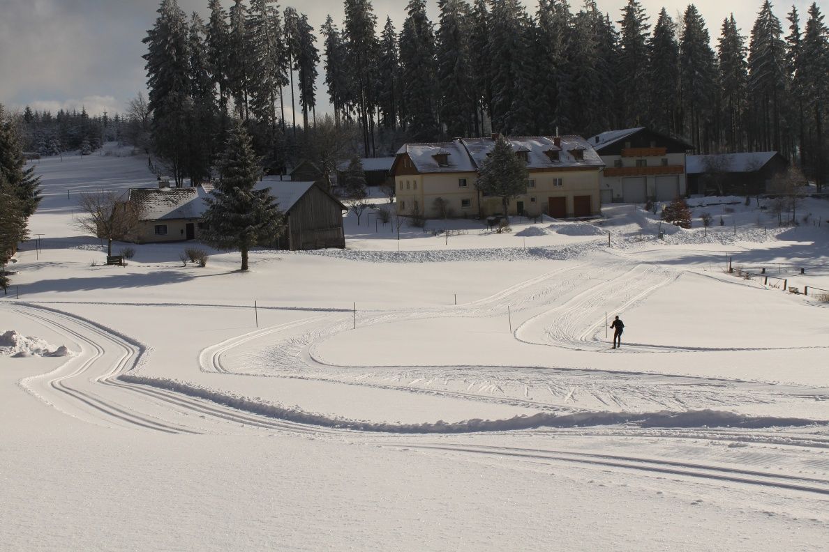 Cross-country skiing in Bärnkopf - local trail 1