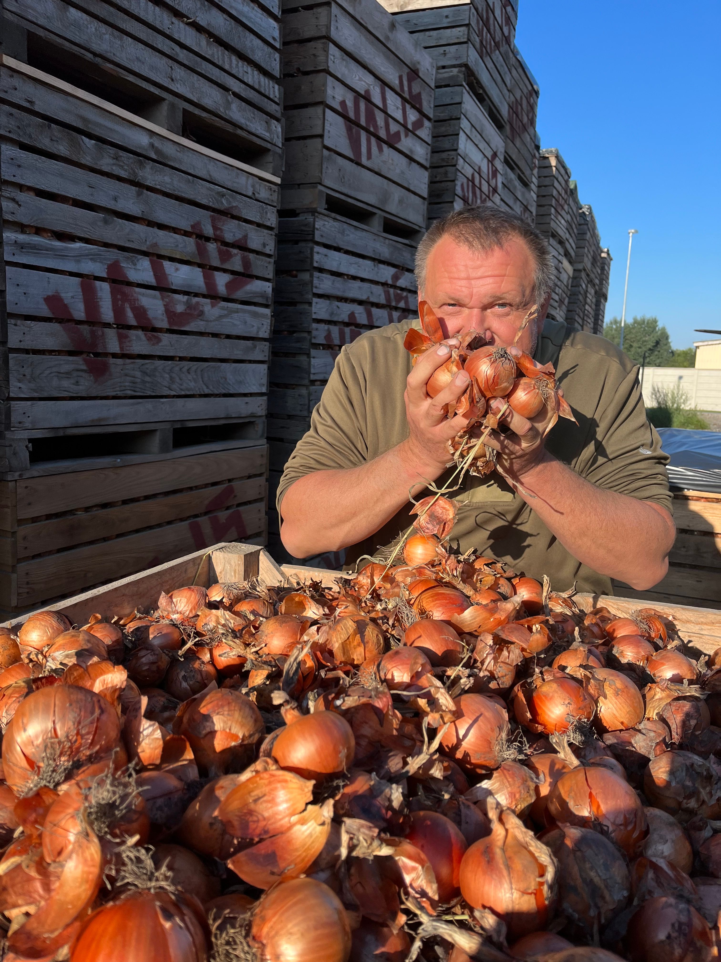 Man holding onions in front of face on a farm.