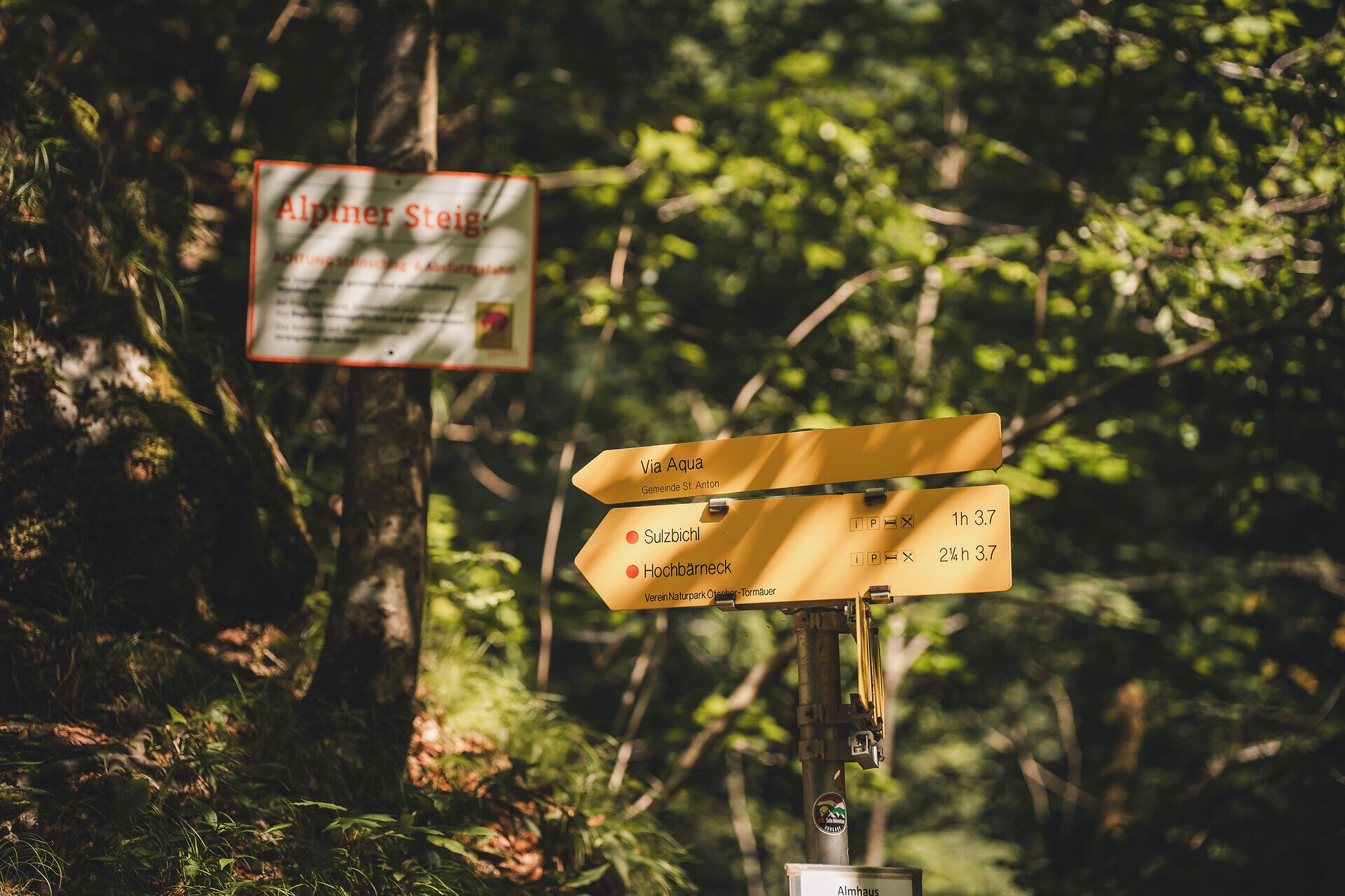 Close-up of a yellow signpost to the Via Aqua pilgrimage route and the Sulzbichl and Hochbärneck hiking trails, surrounded by forest floor and ferns. In the background, a safety sign for the alpine ascent.