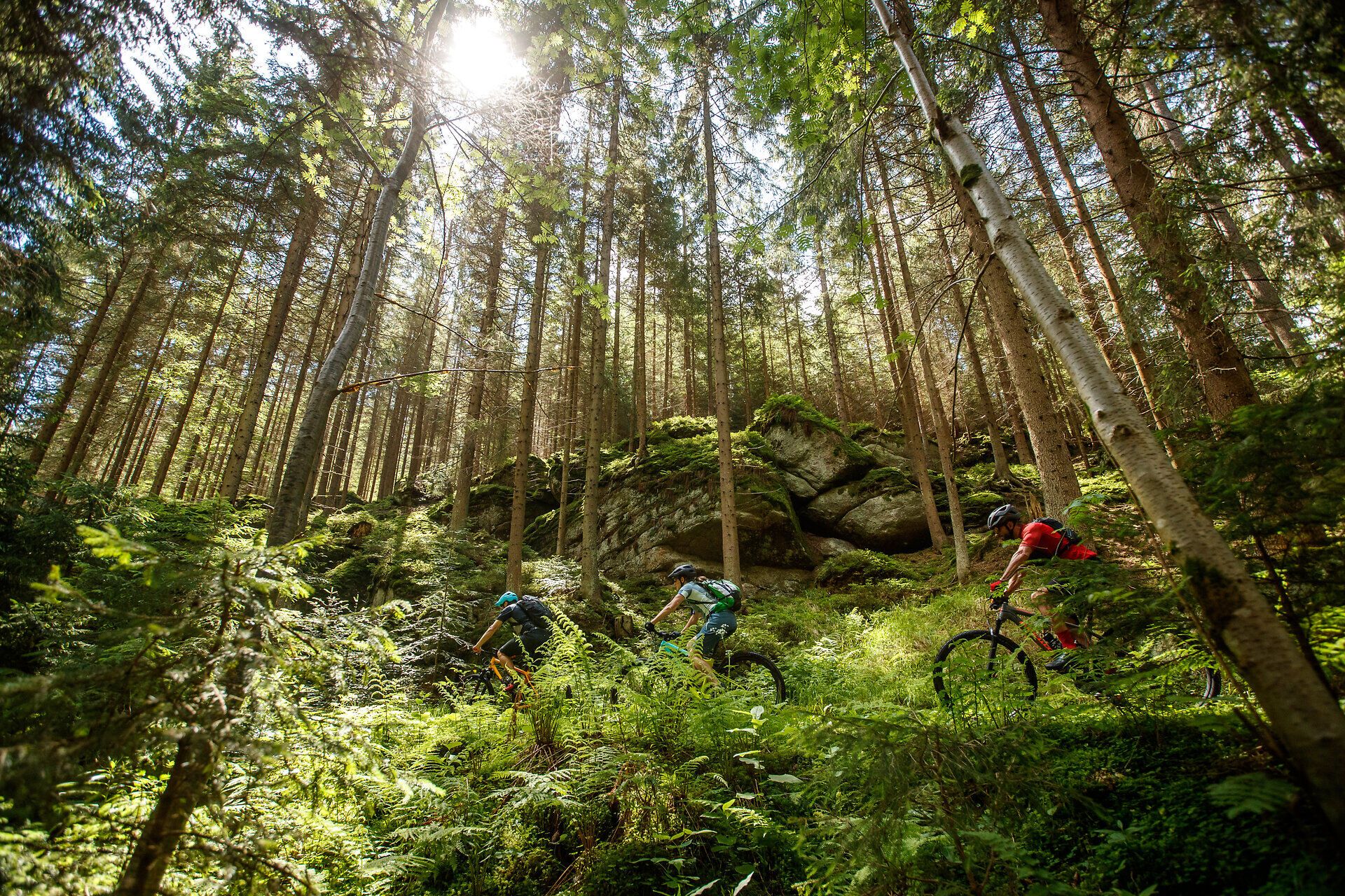 Granite trail, MTB, mountain biking, cycling
