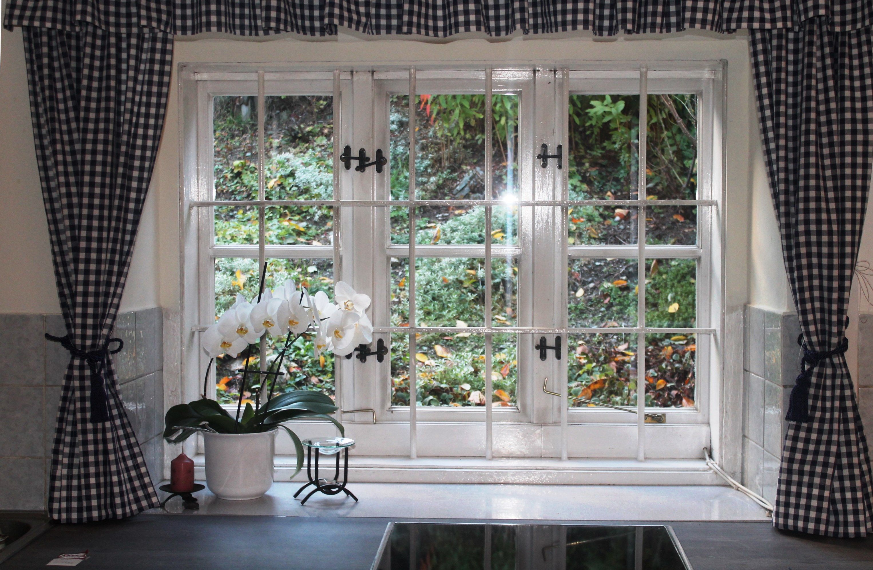Window with checkered curtains and an orchid on the windowsill.
