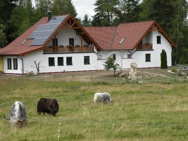 A modern farmhouse with solar panels on the roof, surrounded by a meadow with grazing yaks.