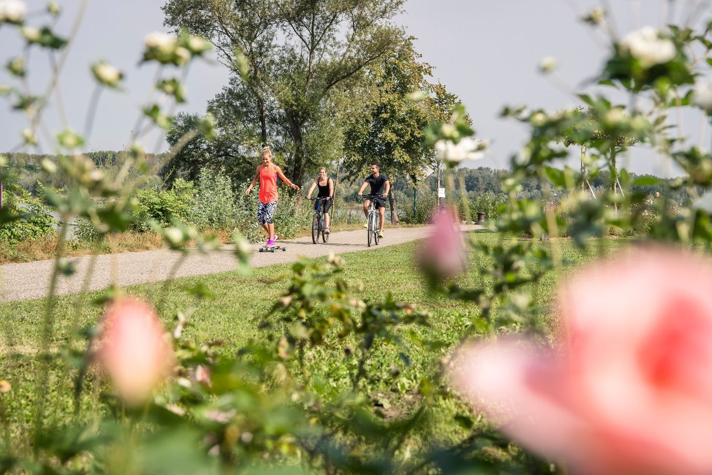 Two cyclists and a person on a skateboard on a path along the Danube, surrounded by blooming flowers.