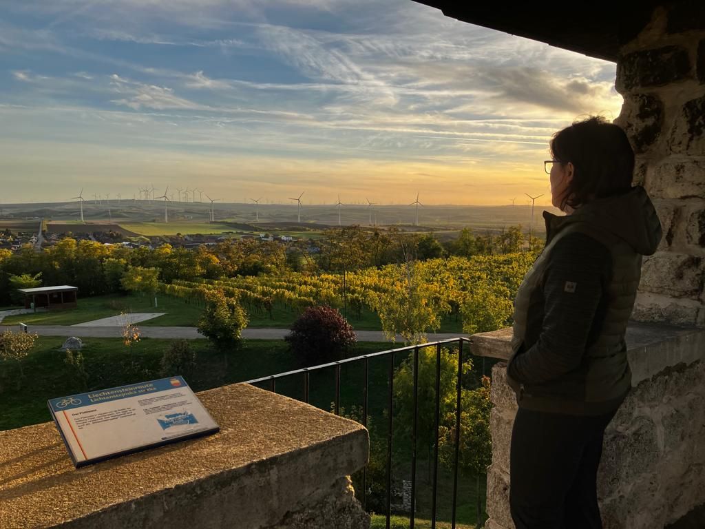 Person looking from a lookout point at a landscape with wind turbines at sunset.