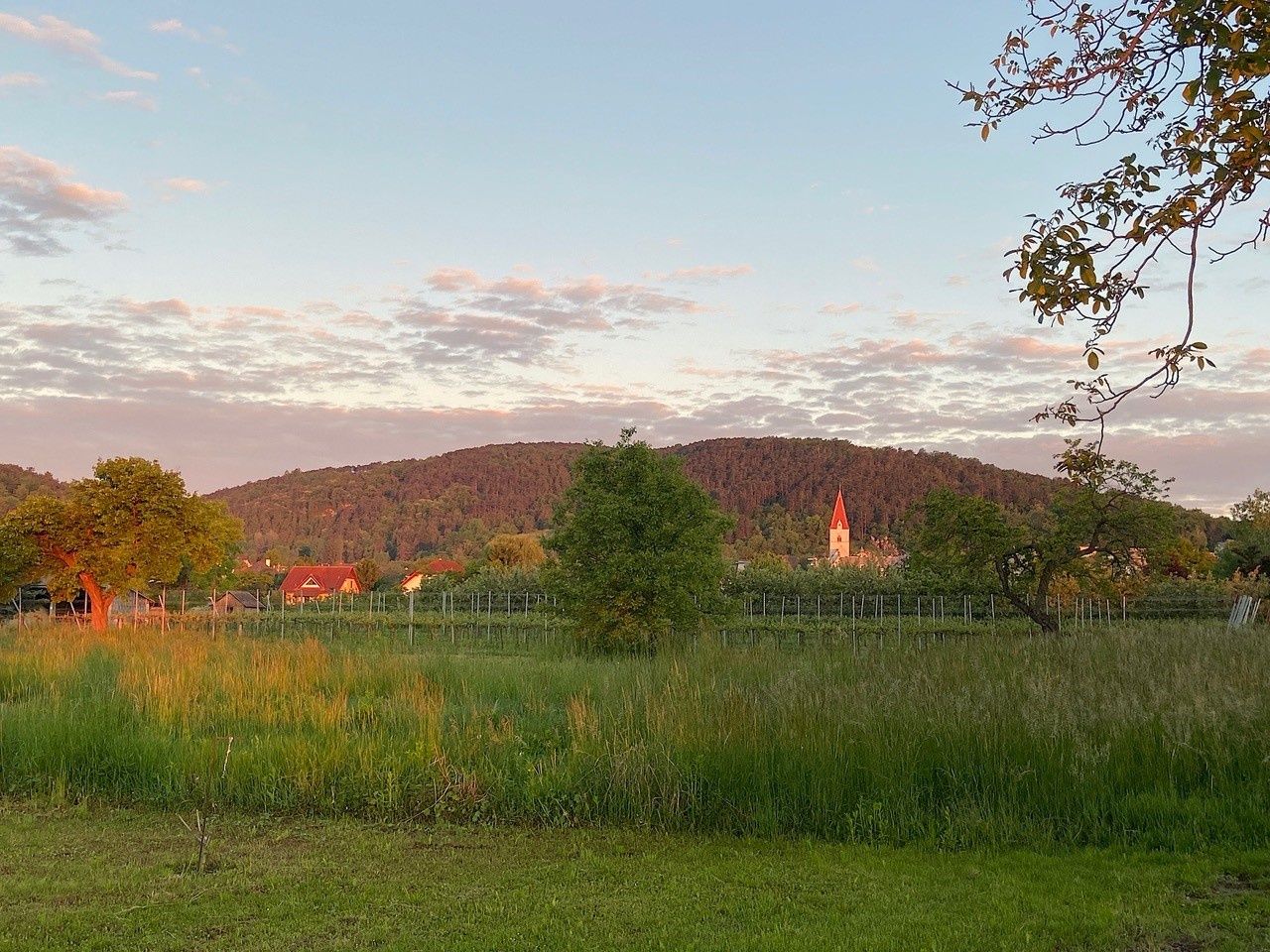 Evening atmosphere in the Traisental
