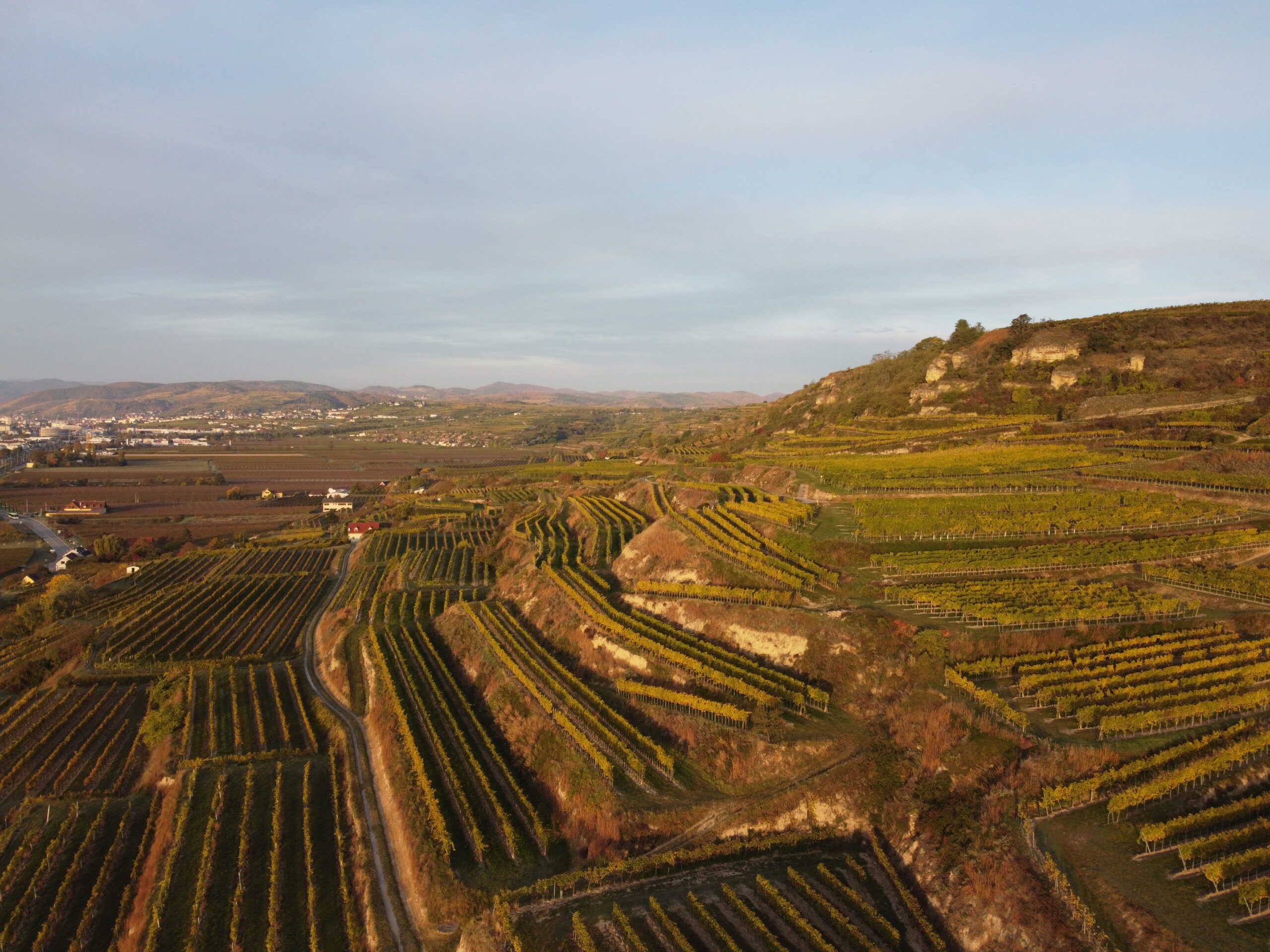 Aerial view of vineyards in Rohrendorf, Austria, at sunset.