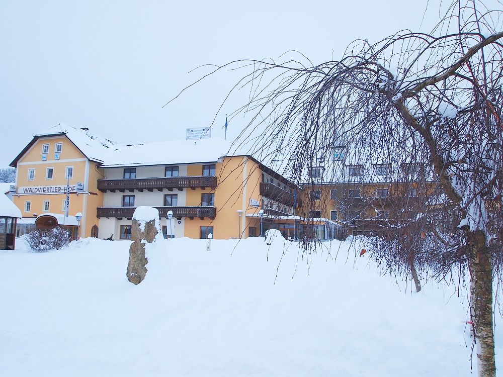 Wintery Waldviertel farm covered in snow.
