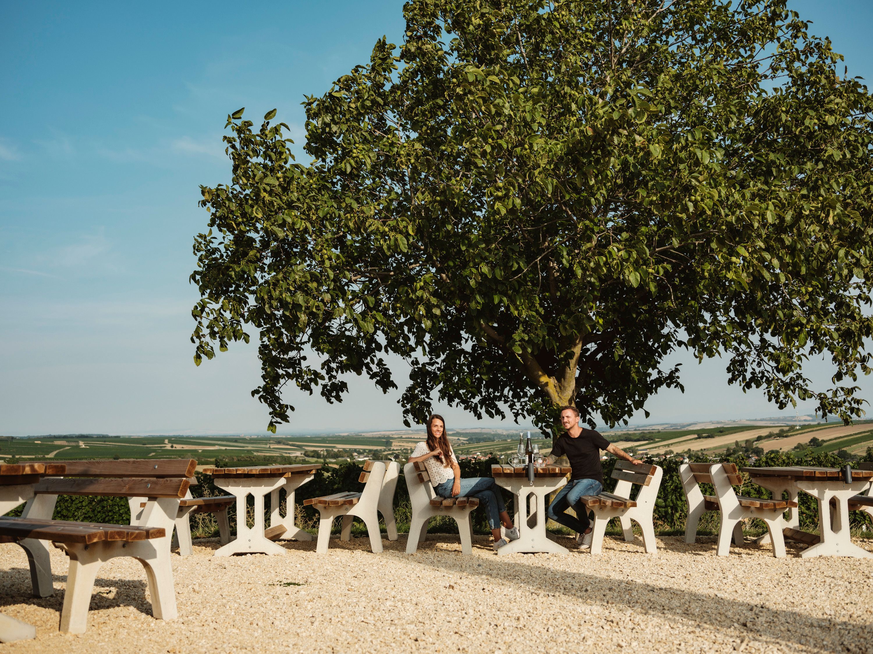 Two people sit at a table under a tree with a view of a vast landscape.