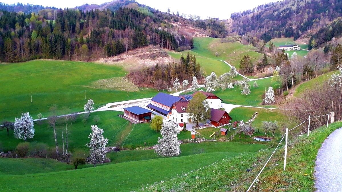 Vacation on the farm-Oberrehau