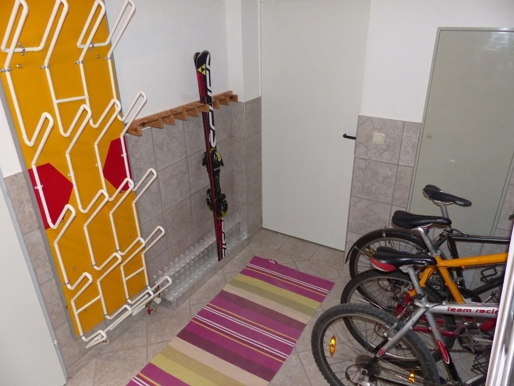 Bicycle and ski cellar