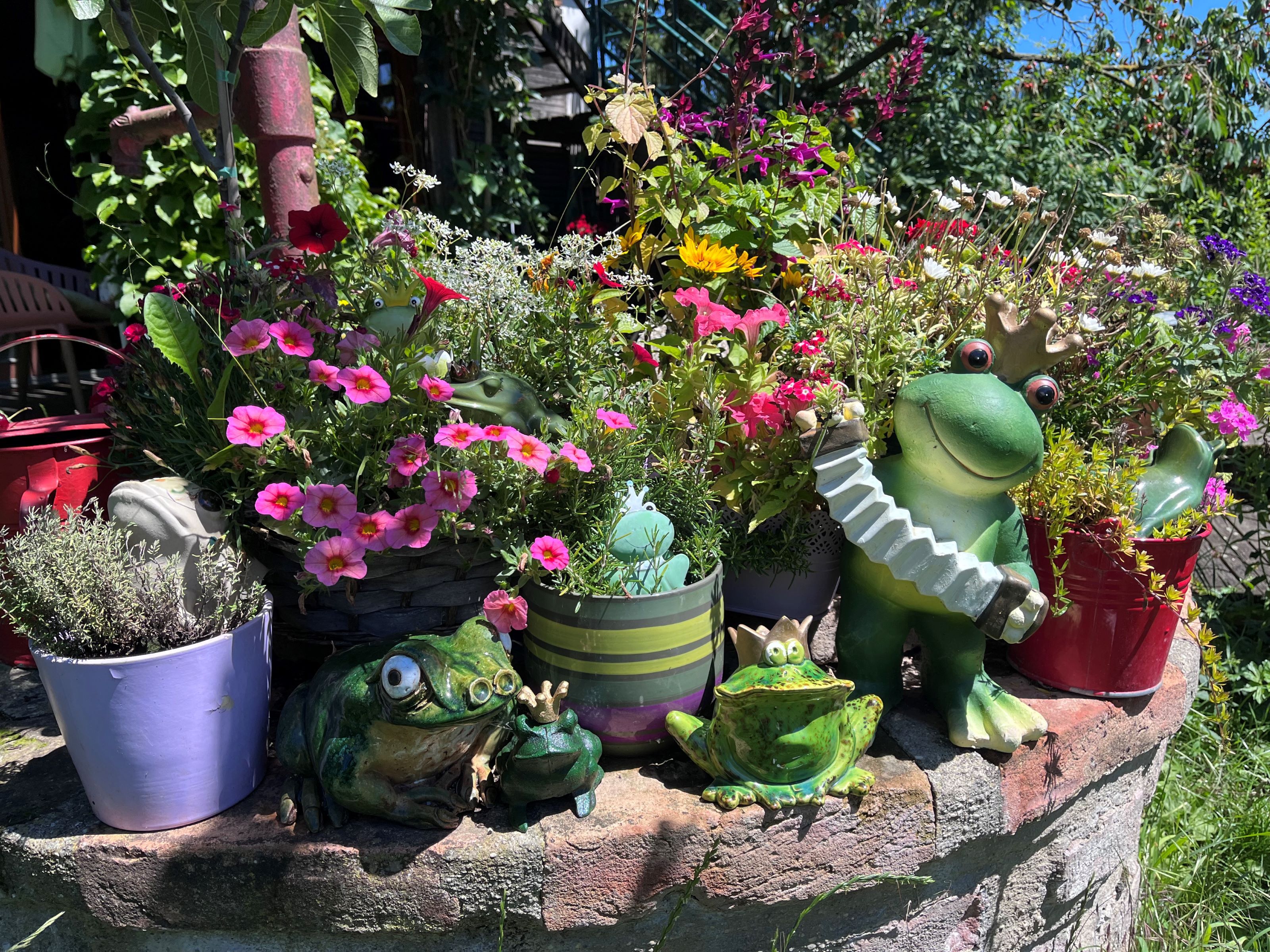 Garden with colorful flowers and frog figures.