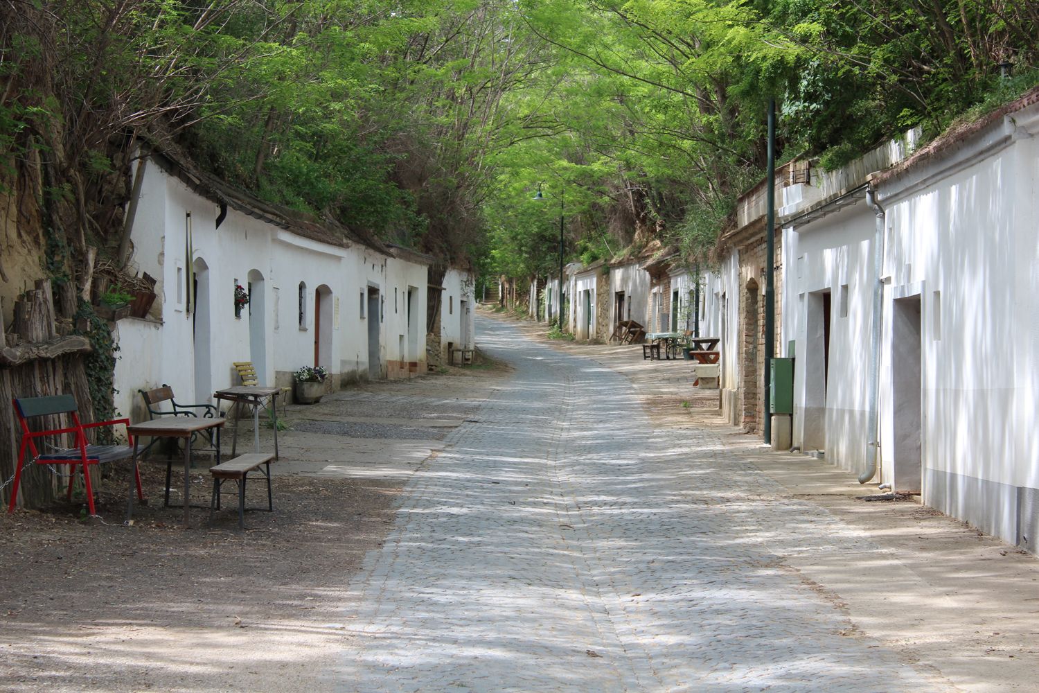 A quiet wine cellar lane in Poysdorf with white wine cellars and green trees in summer.