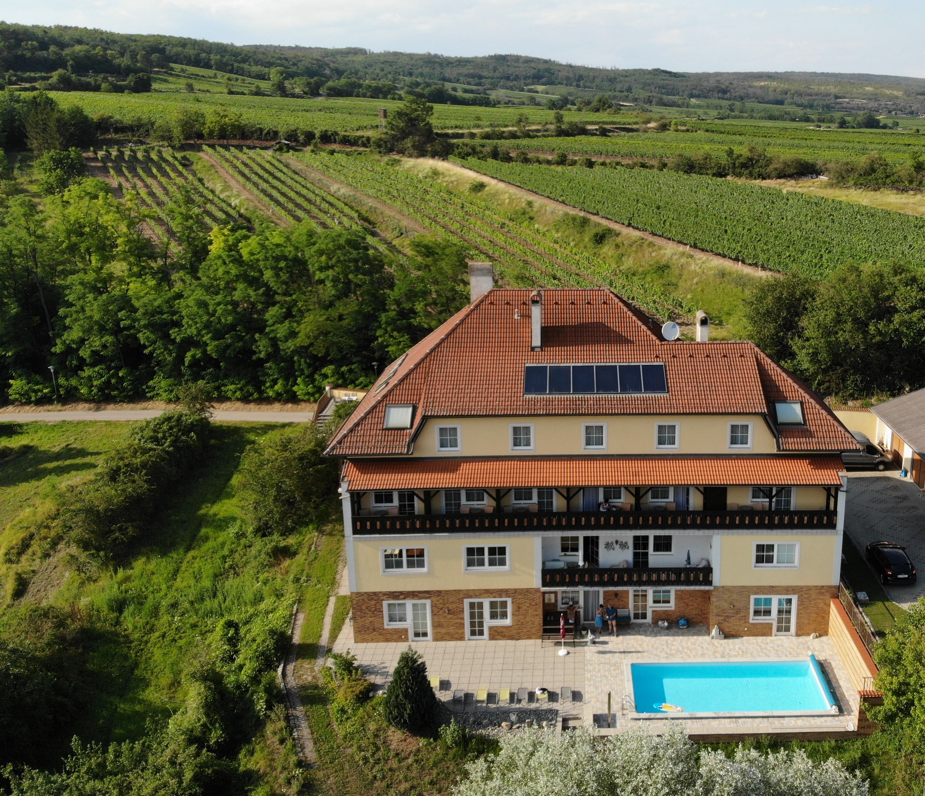 Aerial view of a large house with pool and solar panels, surrounded by vineyards.