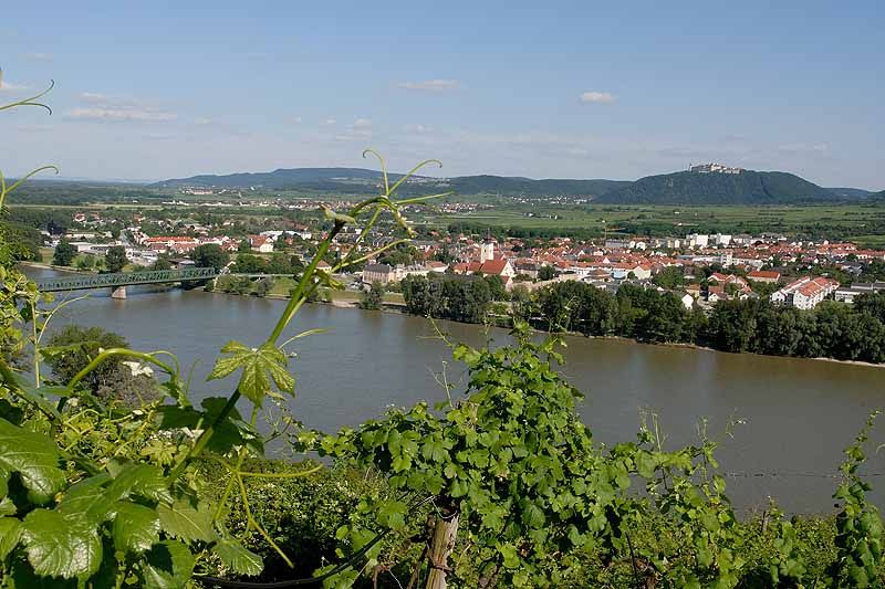 View from Pfaffenberg to Mautern with river and vineyards in the foreground.
