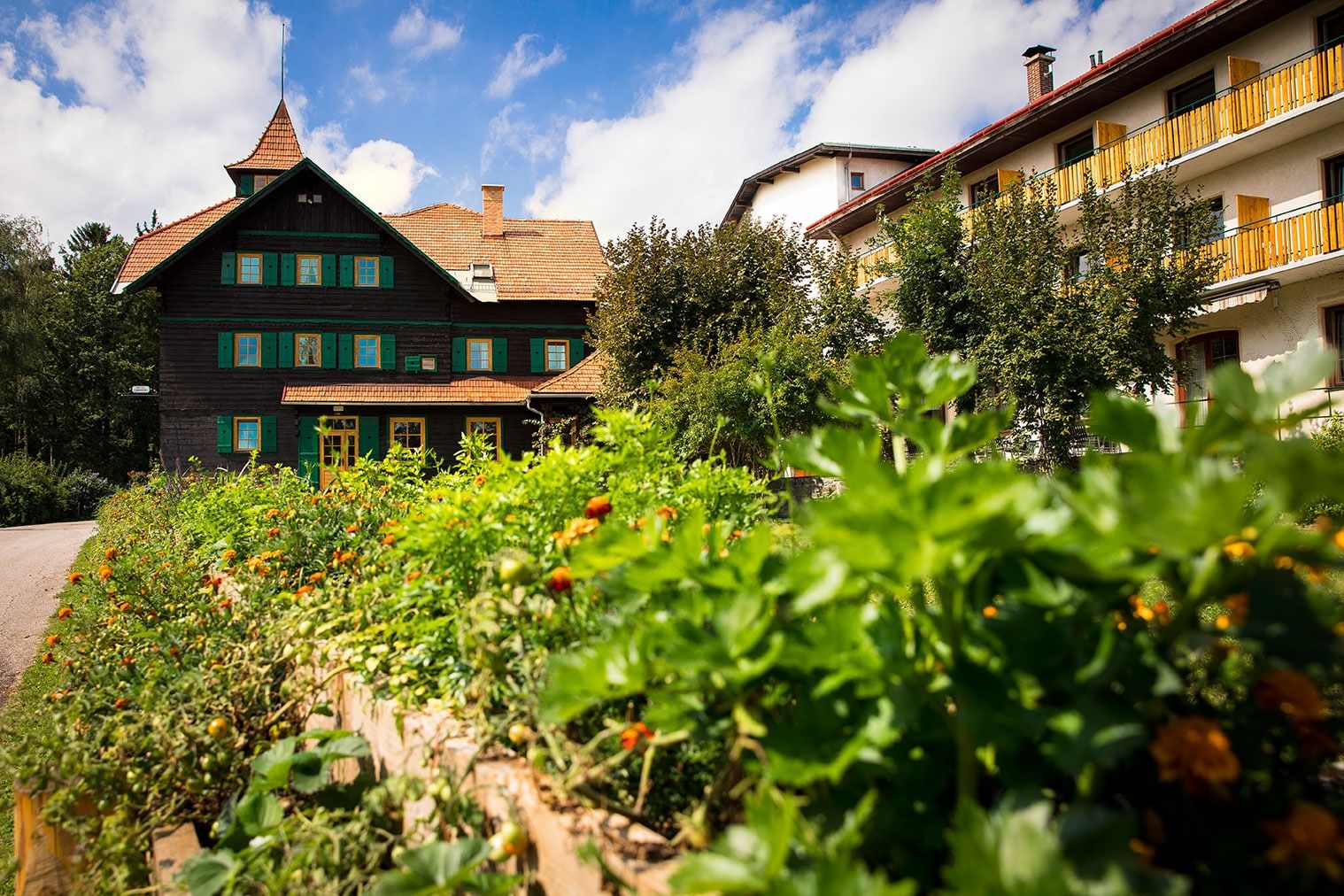 A traditional building with green shutters and a garden in the foreground under a blue sky.