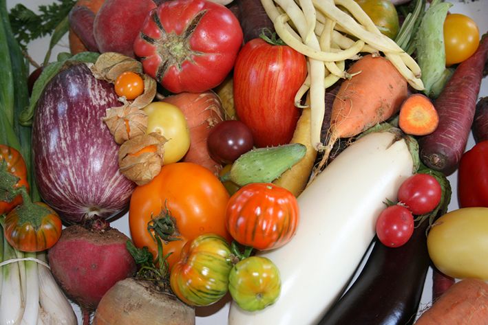 Various colorful vegetables in a pile.