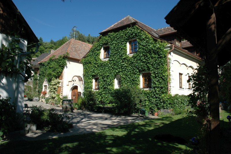 An ivy-covered building in a sunny courtyard with plants and trees.