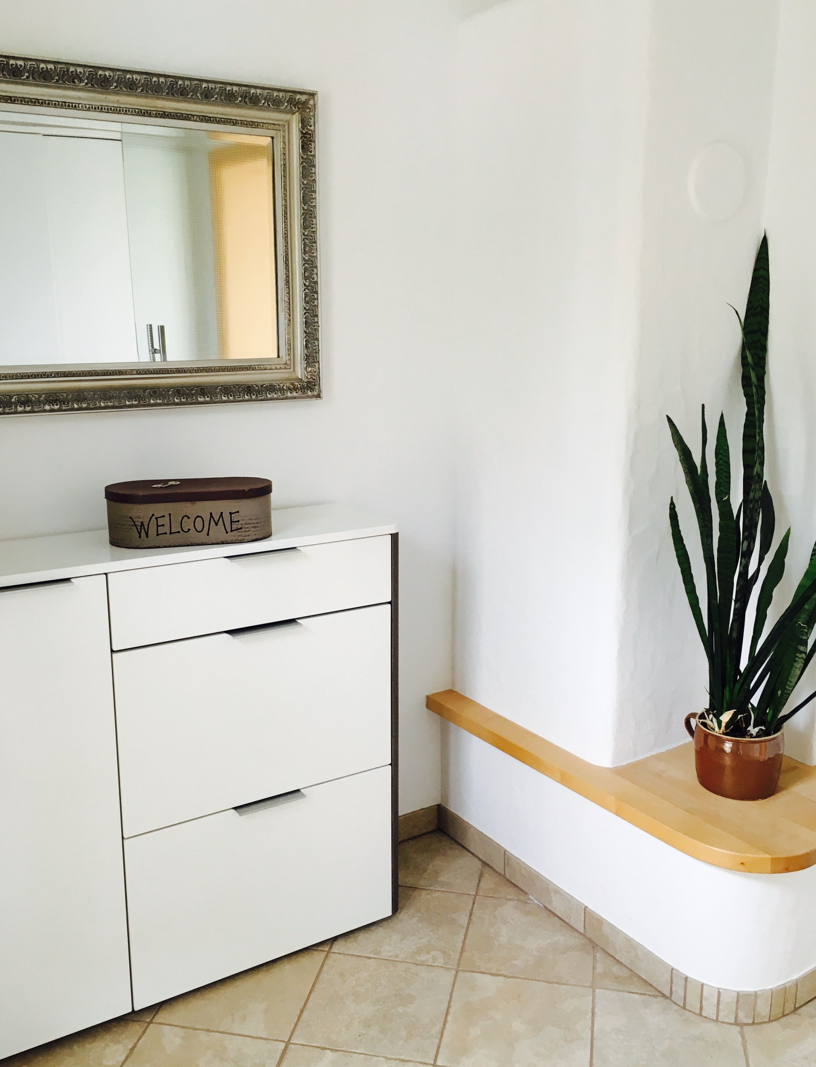 Modern entrance area with white cupboard, mirror and plant.