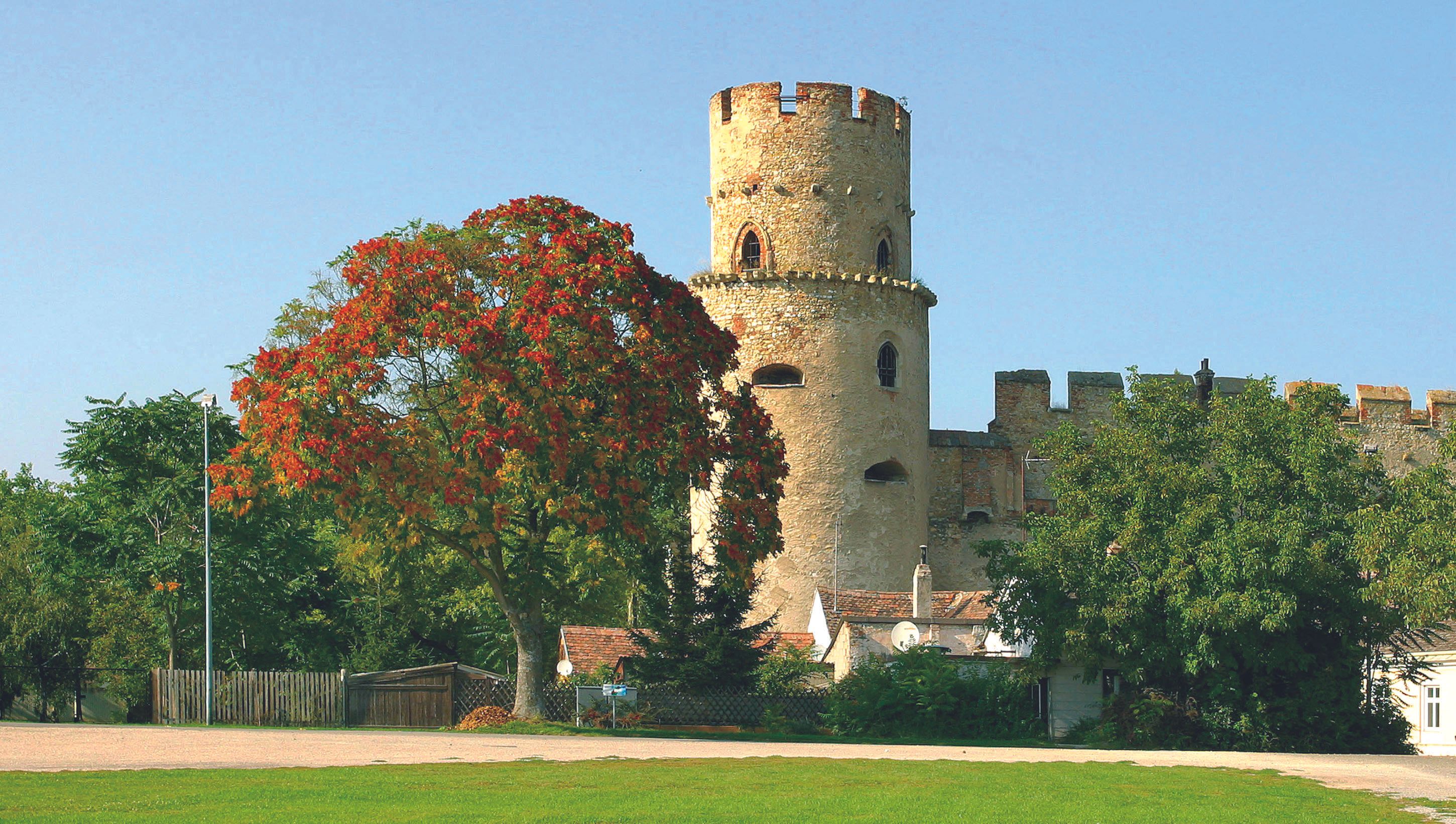 A medieval tower of Laa Castle with a tree in the foreground.