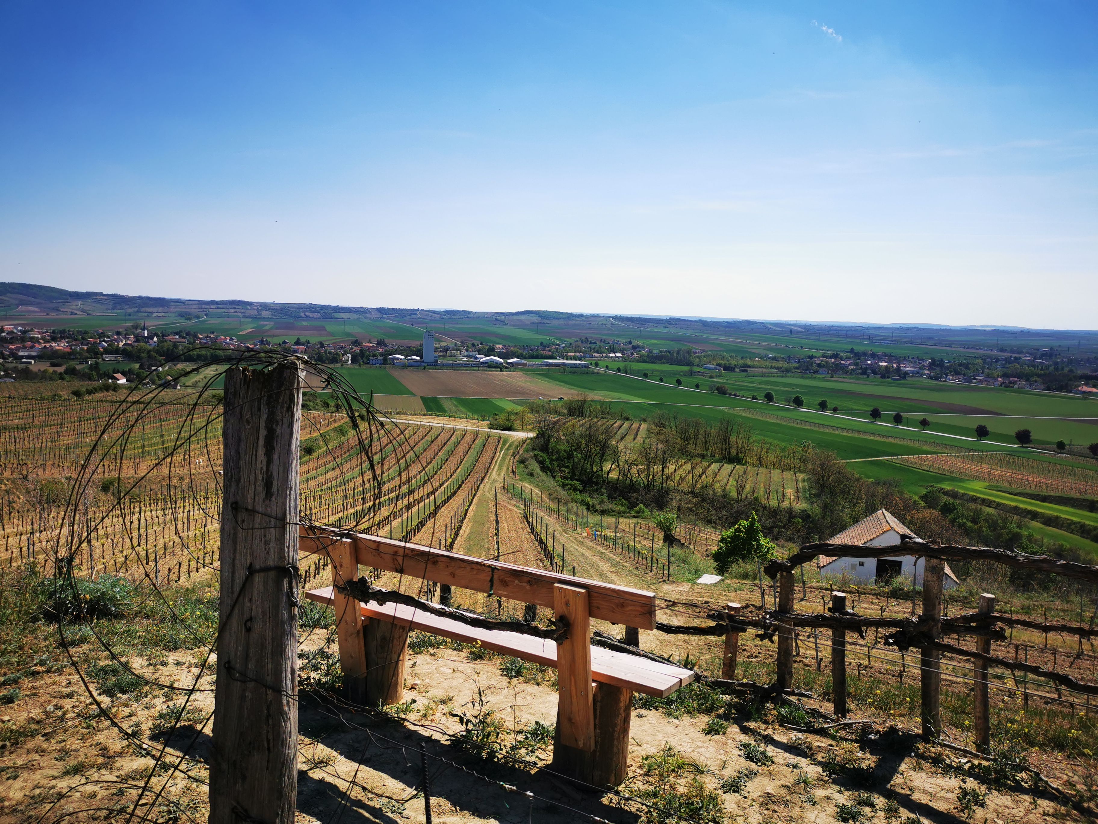 View of vineyards and fields from a rest area with bench and wooden fence.