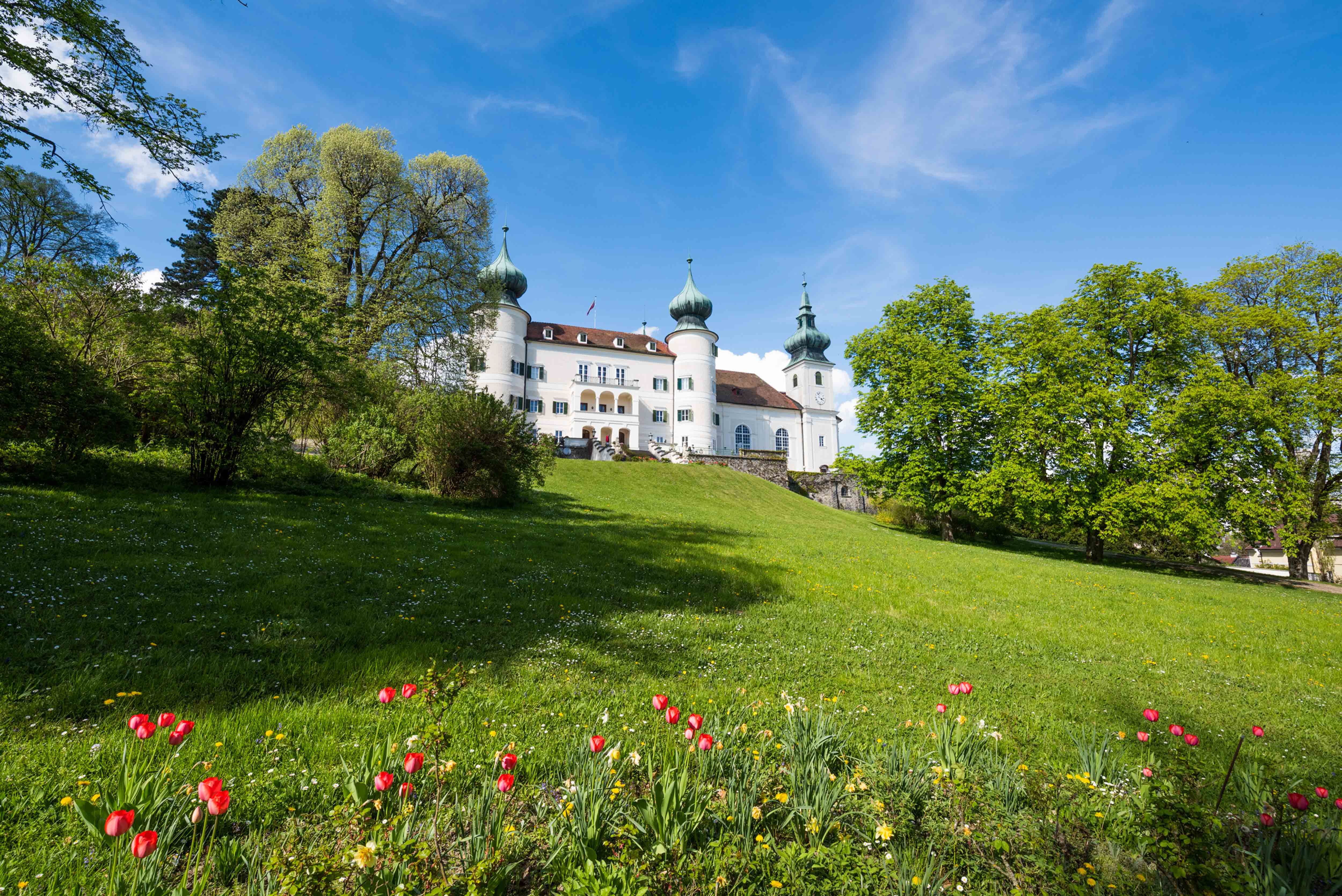Artstetten Castle with a green meadow and blooming tulips in the foreground.