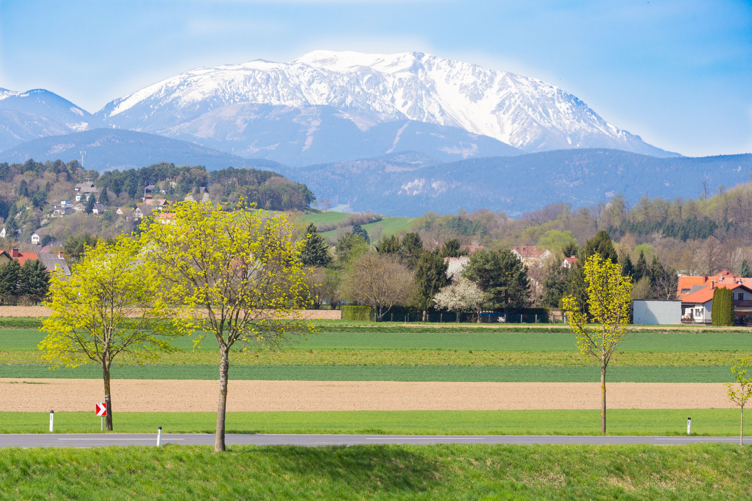 Landscape with a snow-covered mountain in the background and green fields in the foreground.