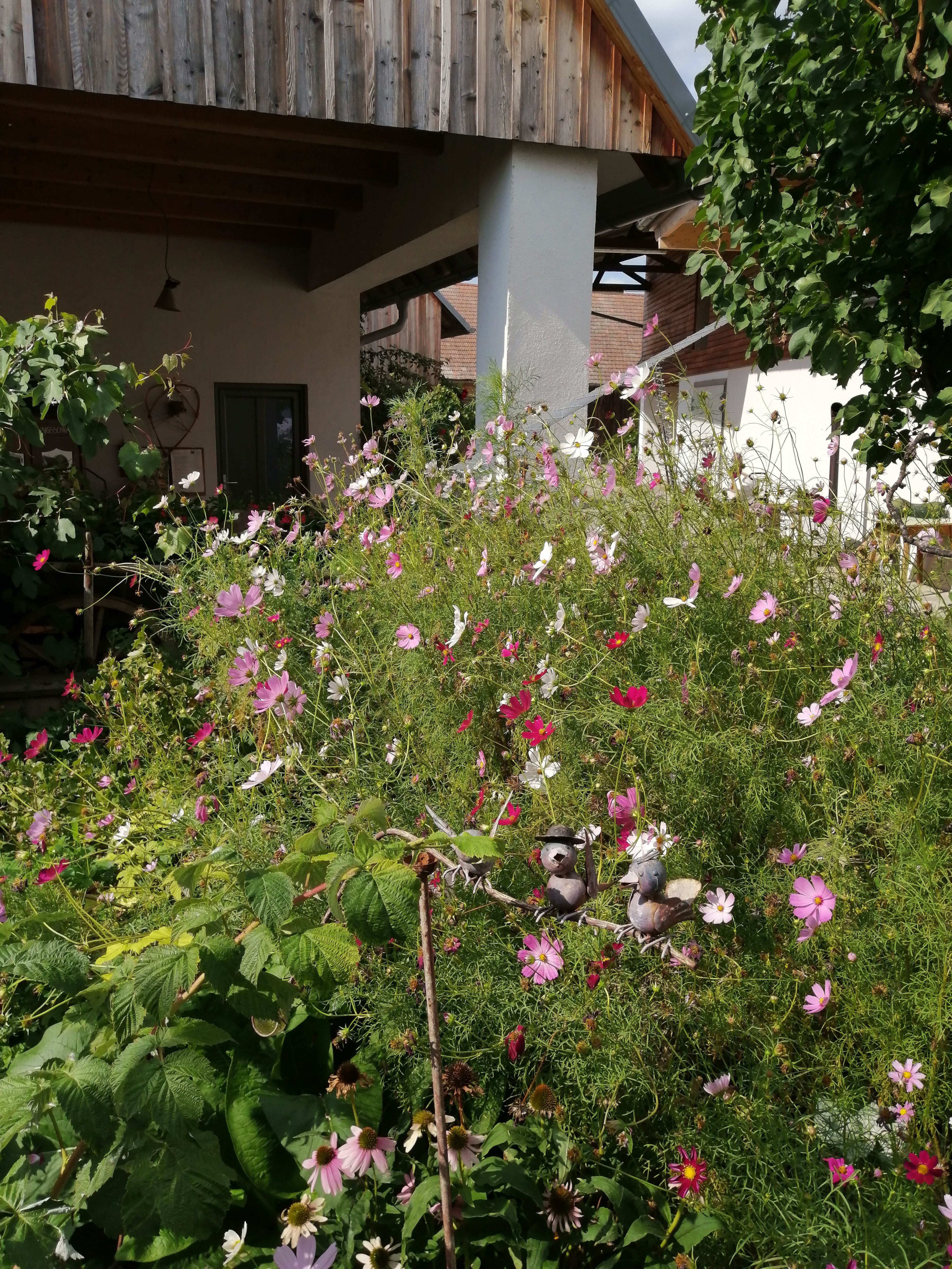Flowerbed with pink and white blossoms in the inner courtyard, surrounded by buildings with wooden roofs.