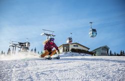 Two hikers walk uphill on a path, past an observation tower and a building, surrounded by trees and a clear sky.