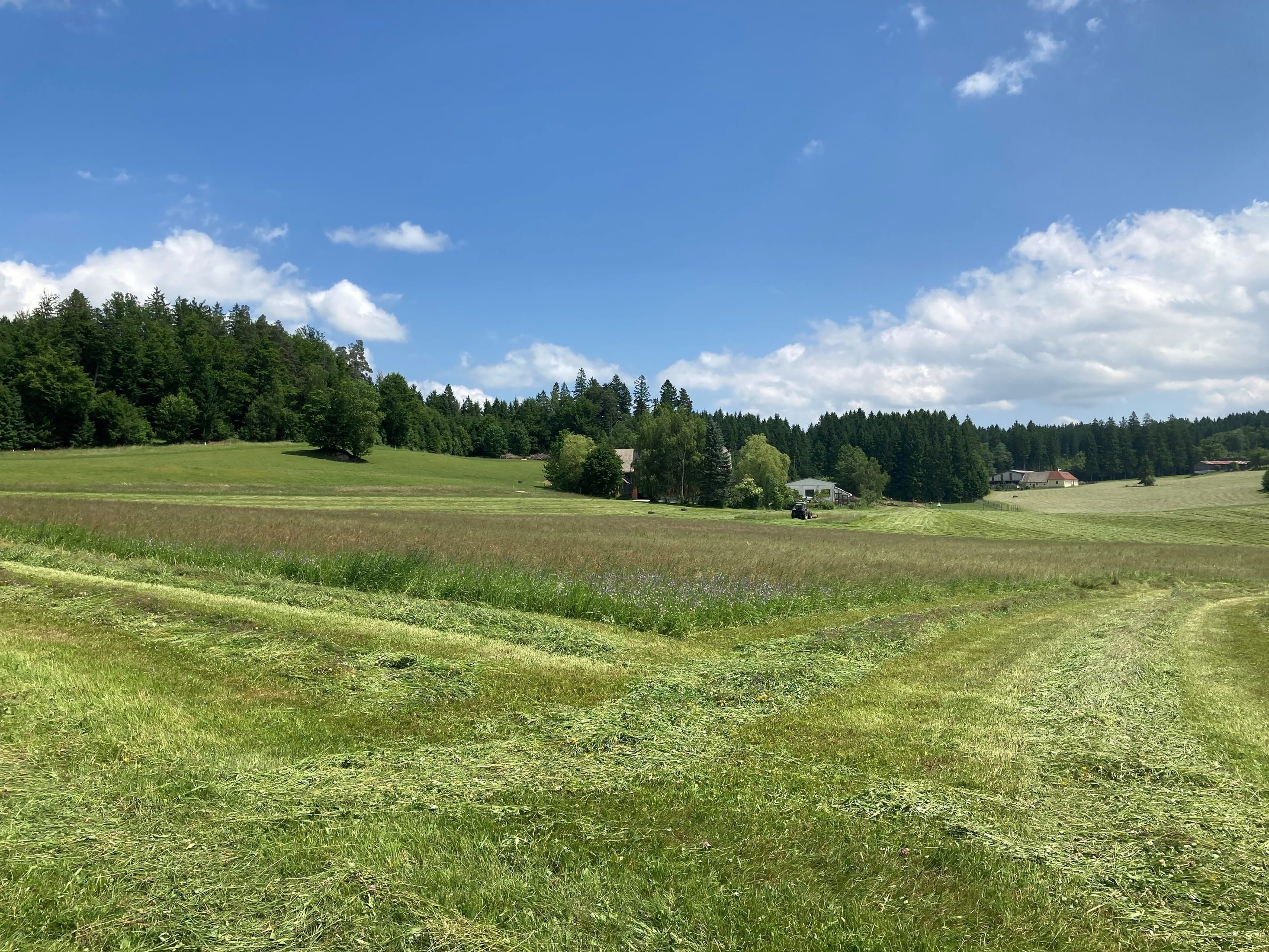 Wide green meadows with a forest in the background and a farm in the distance under a blue sky.
