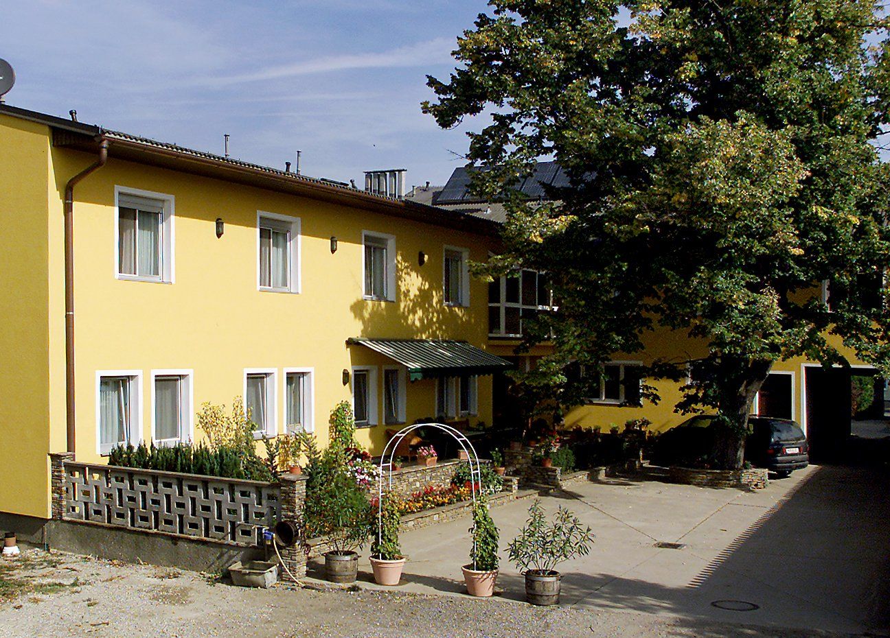Yellow building with several windows, plants in the foreground and a large tree next to it.