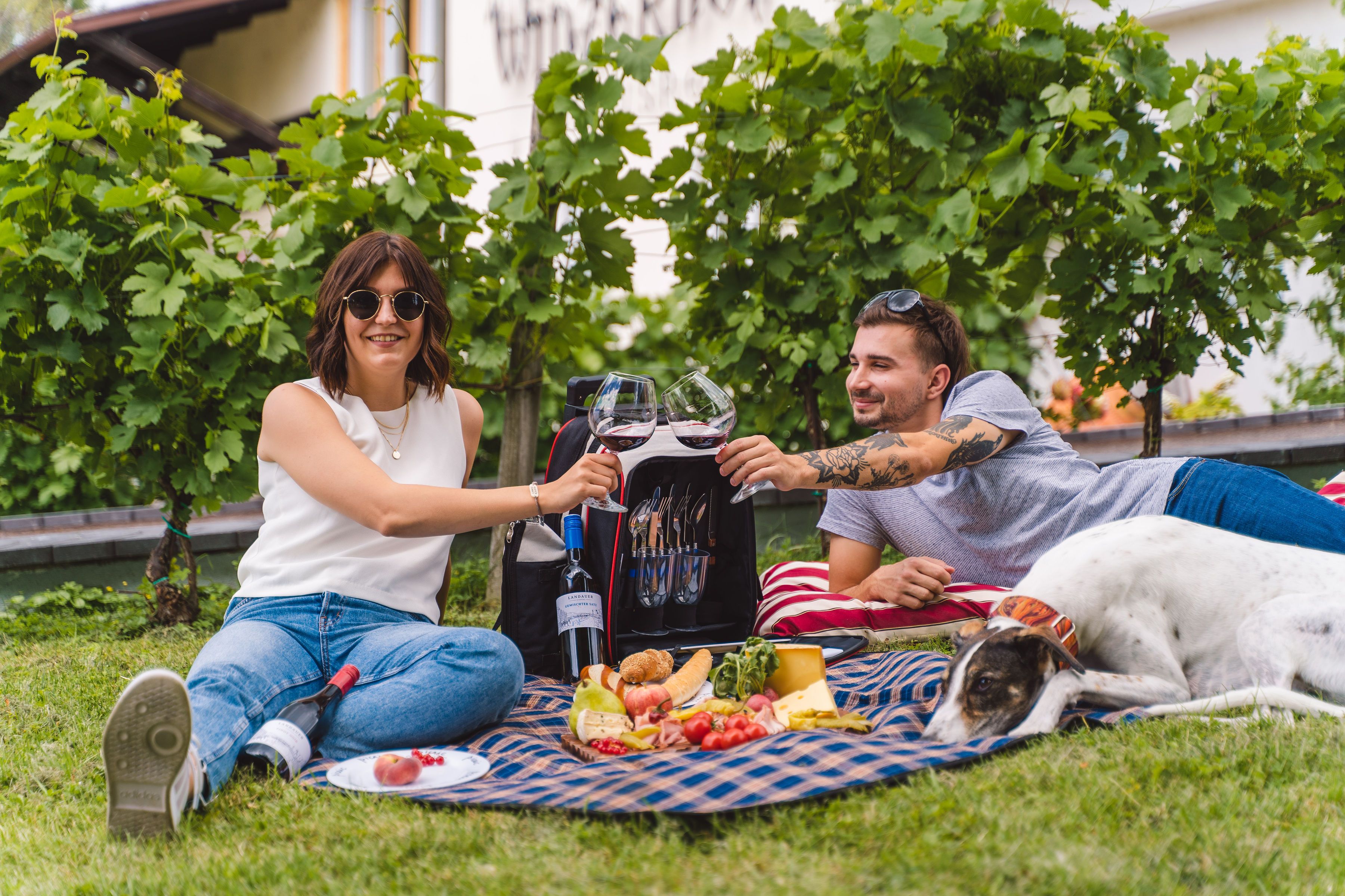 Picnic Time